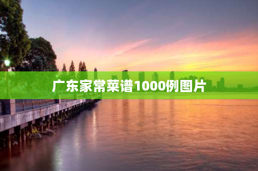 广东家常菜谱1000例图片 广东叶子菜有哪些？