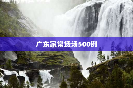 广东家常煲汤500例 广东水鸭煲汤配方？