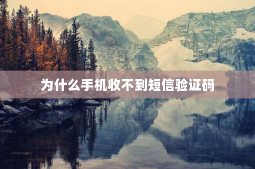 为什么手机收不到短信验证码 获取手机验证码一直没发过来怎麽回事？