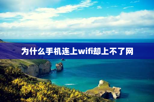 为什么手机连上wifi却上不了网 为什么手机连上wifi却上不了网，电视也看不了？