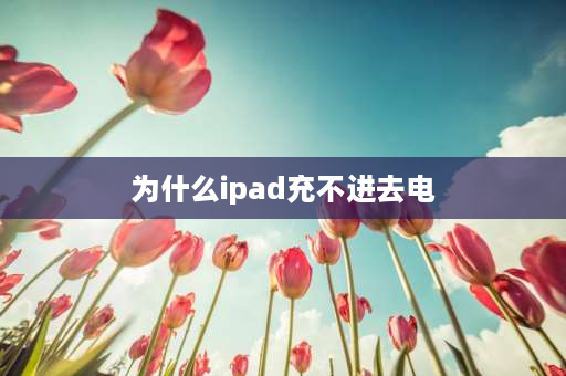 为什么ipad充不进去电 ipad插头总充不上电怎么回事？