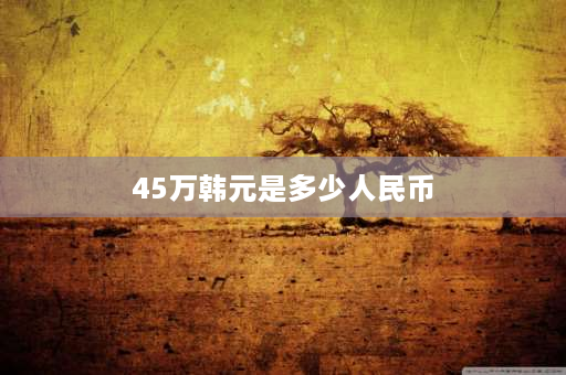 45万韩元是多少人民币 八百万韩币在韩国能干什么？