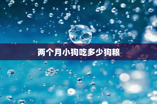 两个月小狗吃多少狗粮 两个月的拉布拉多狗每天应该为多少克狗粮？