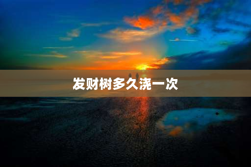 发财树多久浇一次 盆栽发财树多久浇一次水？