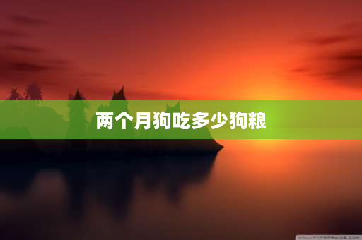 两个月狗吃多少狗粮 两只狗狗一个月需要多少斤狗粮？