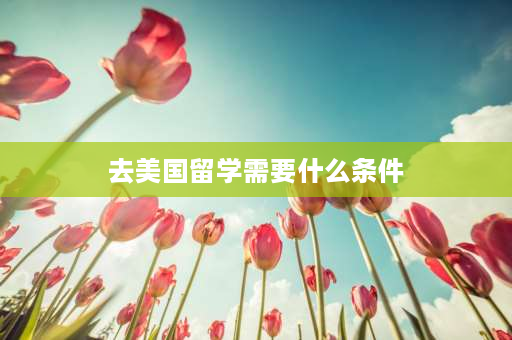 去美国留学需要什么条件 医学留学需要什么条件？