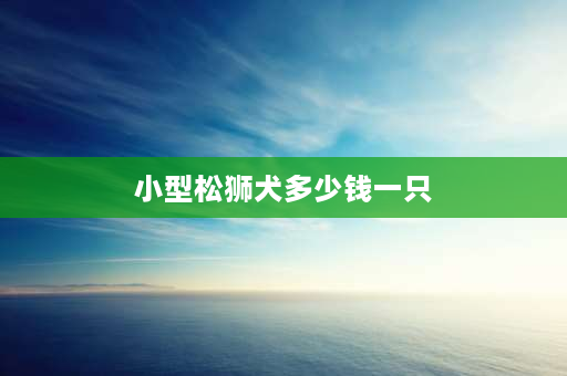 小型松狮犬多少钱一只 迷你松狮犬长大后能长多大？