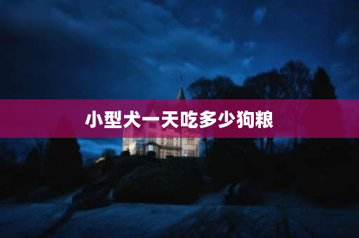 小型犬一天吃多少狗粮 求有经验的网友告知小型犬一天吃多少狗粮合适呢？