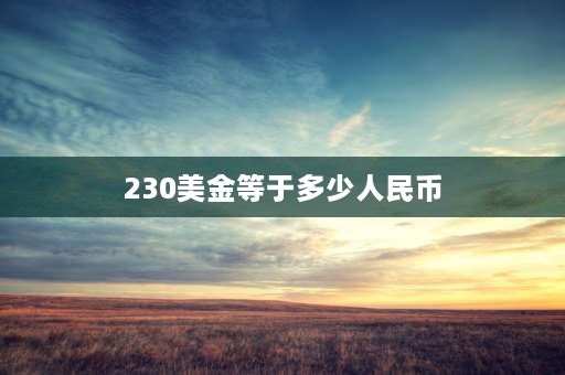 230美金等于多少人民币 浪琴手表美国官方价格怎样？