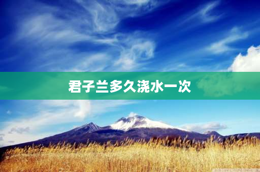 君子兰多久浇水一次 君子兰浇水正确方法和时间？