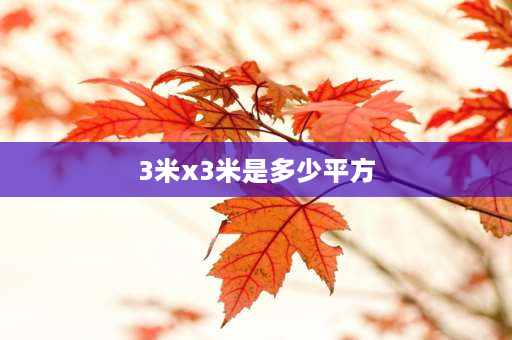 3米x3米是多少平方 30米乘以3米等于多少平方？