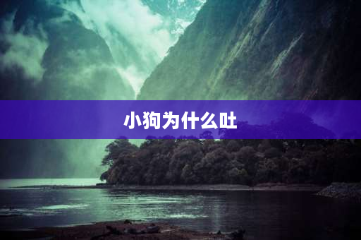 小狗为什么吐 为什么我家狗狗最近几天总是吐（吃了生鸡蛋）？