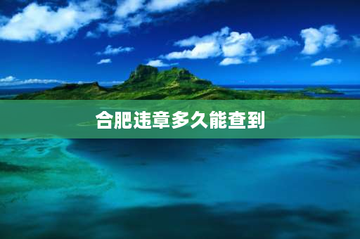 合肥违章多久能查到 合肥市违法停车告知单，请问这是怎么处理的，扣分和罚钱吗？