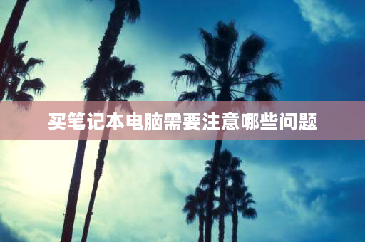 买笔记本电脑需要注意哪些问题 买笔记本电脑应该注意的事项有那些？