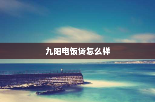 九阳电饭煲怎么样 九阳电饭煲0涂层真的好吗？