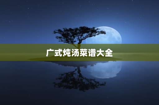 广式炖汤菜谱大全 广东牛宝炖汤的做法？