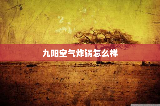 九阳空气炸锅怎么样 九阳空气炸锅6升vf506怎么样？