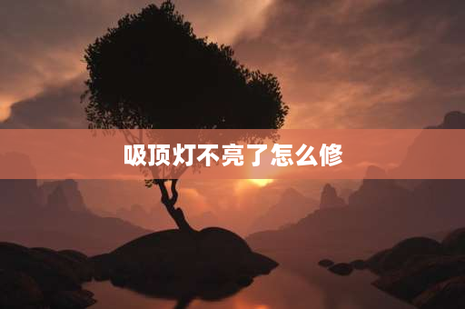 吸顶灯不亮了怎么修 吸顶灯不亮了怎么解决？