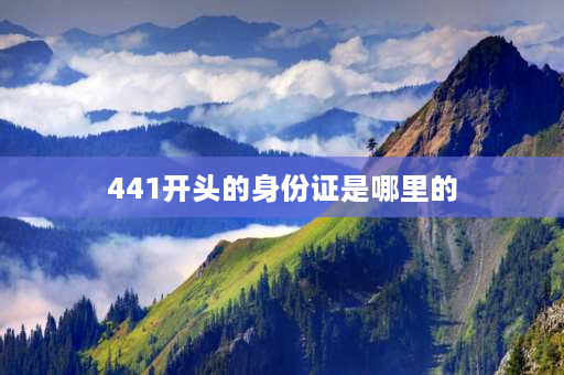 441开头的身份证是哪里的 广东身份证的前几位数字是什么？