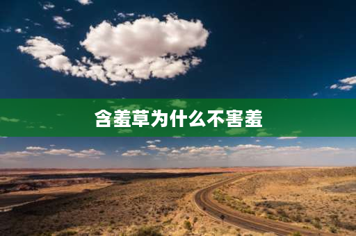 含羞草为什么不害羞 含羞草为什么会害羞呢？