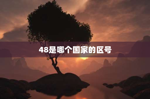 48是哪个国家的区号 条形码48开头是哪个国家？