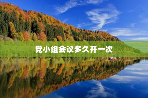 党小组会议多久开一次 党小组会主要内容？