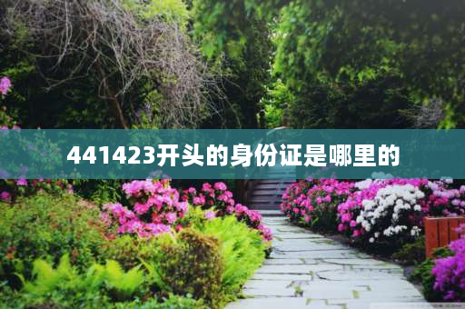 441423开头的身份证是哪里的 446开头的身份证号是哪个省？