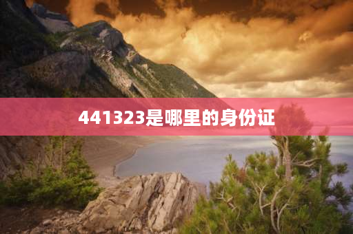 441323是哪里的身份证 441323开头身份证的是哪里的？