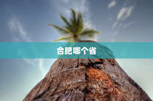 合肥哪个省 2021安徽省各市面积？