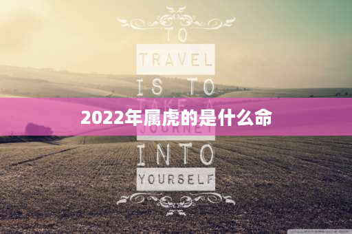 2022年属虎的是什么命 2022年虎年年景如何？