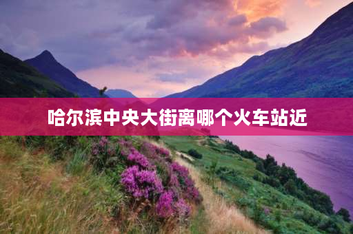 哈尔滨中央大街离哪个火车站近 哈火车站去南岗区人和街43号公交车？