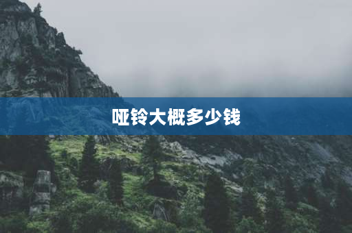 哑铃大概多少钱 160公斤黄金哑铃和铁哑铃的体积比较？