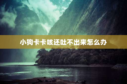 小狗卡卡咳还吐不出来怎么办 狗狗的喉咙里好像有痰咳不出来，怎么办啊？急？