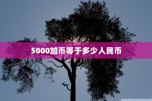 5000加币等于多少人民币 为什么那么多人**加拿大？