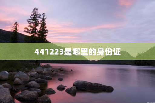 441223是哪里的身份证 441293开头身份证是哪里的？