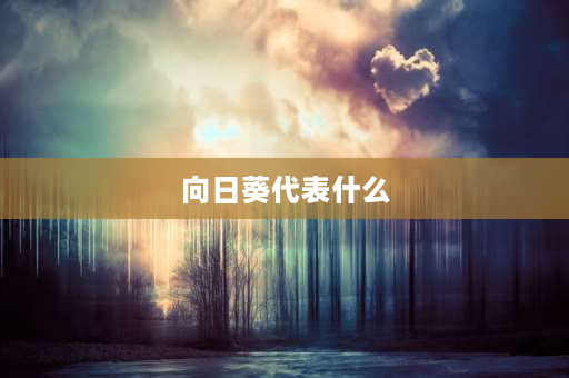 向日葵代表什么 向日葵有什么含义？