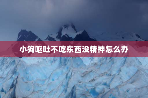 小狗呕吐不吃东西没精神怎么办 小狗呕吐后不吃东西，精神不好，怎么办？