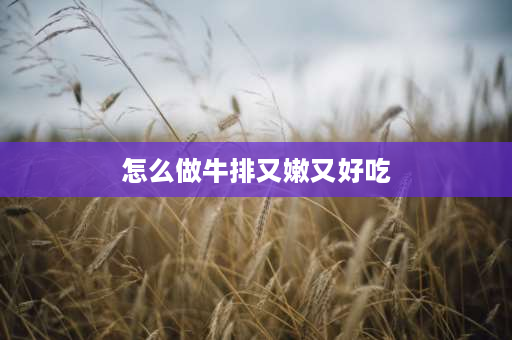 怎么做牛排又嫩又好吃 让牛排变嫩的四大妙招？