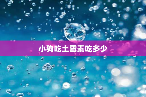 小狗吃土霉素吃多少 土霉素狗狗能吃吗？