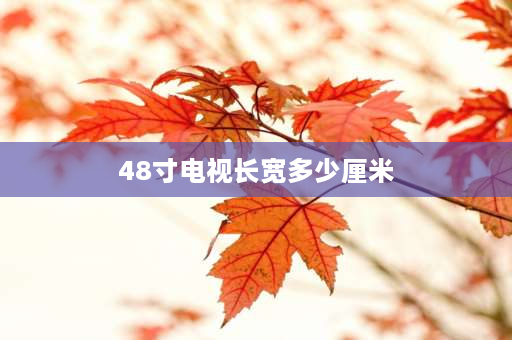 48寸电视长宽多少厘米 48英寸电视长宽多少？