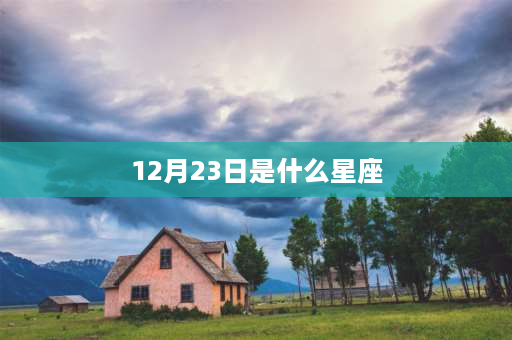 12月23日是什么星座 12月生的小孩是什么星座男孩？