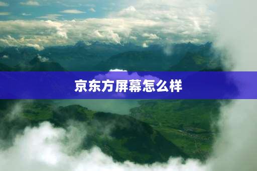 京东方屏幕怎么样 京东方的屏幕目前是什么水平？