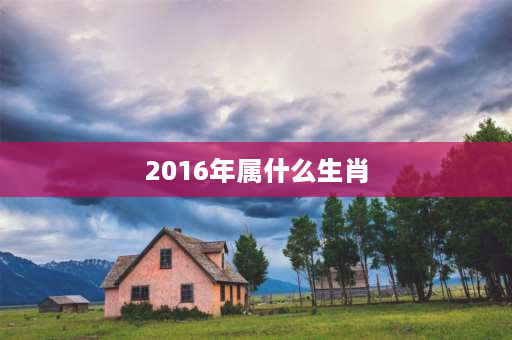 2016年属什么生肖 2016年生的宝宝属相是什么？