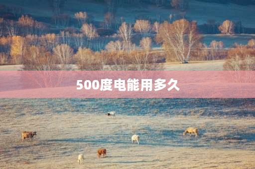 500度电能用多久 500w的功率，多长时间一度电？