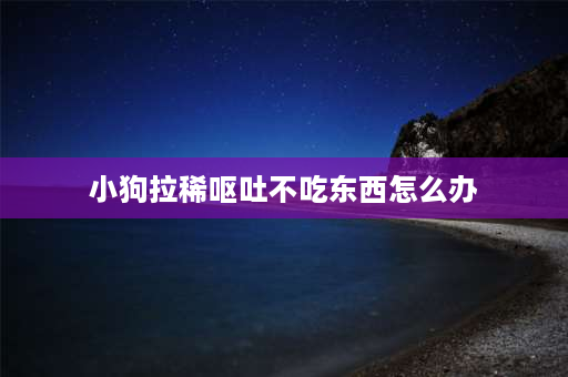 小狗拉稀呕吐不吃东西怎么办 小狗又吐又拉稀好了以后不吃也不喝怎么办？