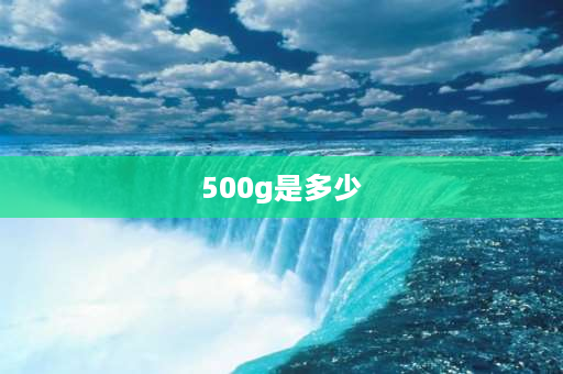 500g是多少 500g等于一斤对吗？