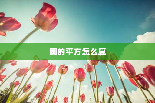 圆的平方怎么算 圆的面积平方公式怎么算？