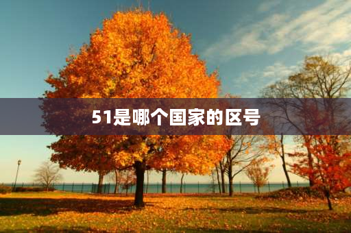 51是哪个国家的区号 51的来源50字？