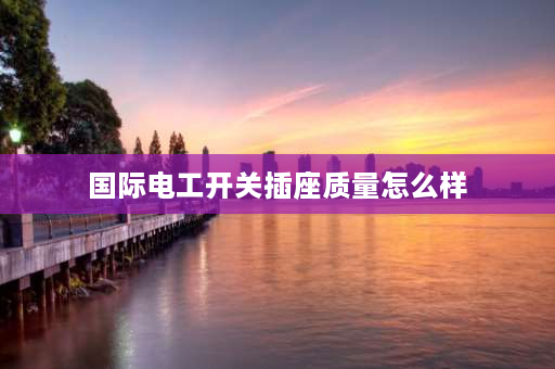 国际电工开关插座质量怎么样 pntu国际电工的开关插座怎么样？