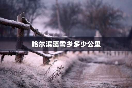 哈尔滨离雪乡多少公里 求，哈尔滨到牡丹江雪乡自驾游的行车路线？